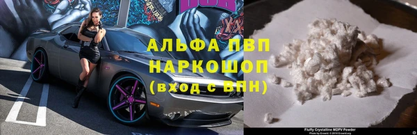 сатива Сатка
