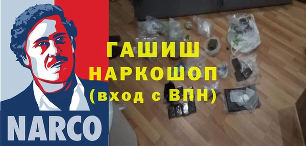 сатива Сатка