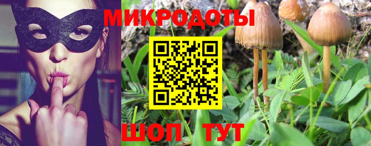 Галлюциногенные грибы Psilocybe  Вход с VPN  Клинцы 